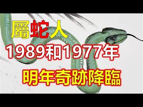 1989 蛇 五行|1989属蛇的五行是什么命